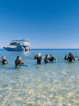 Moreton Island Swimming