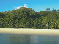 Walk to Tangalooma Beach