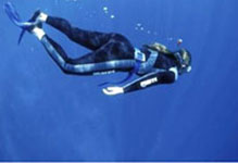 Tangalooma Deep Sea Diving